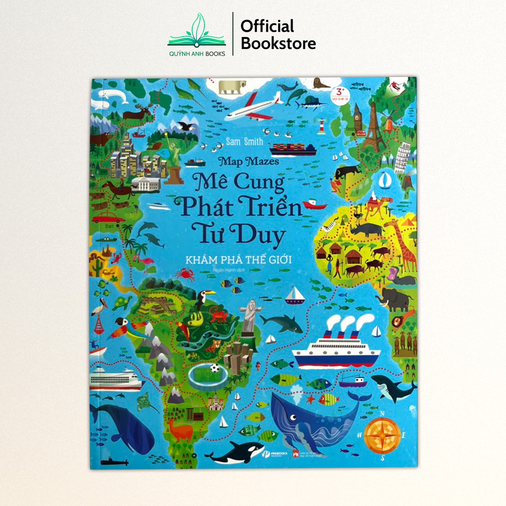 Sách - Mê cung phát triển tư duy trò chơi trí tuệ  - NPH Pingbooks