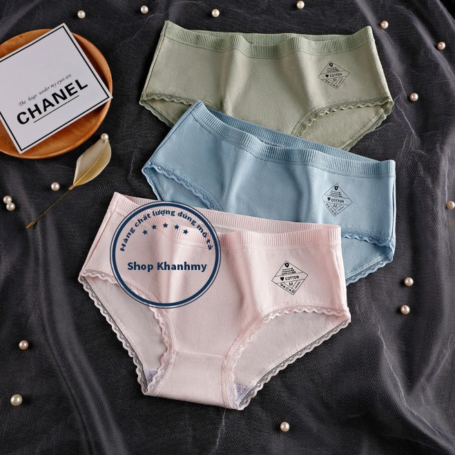 Quần lót nữ Cotton viền ren lưng thun có chọn size chọn màu QL05