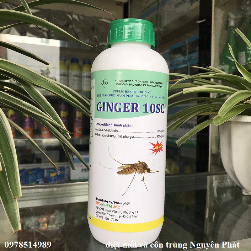 Ginger 10SC - Thuốc diệt muỗi giá rẻ, nhập khẩu Ấn Độ