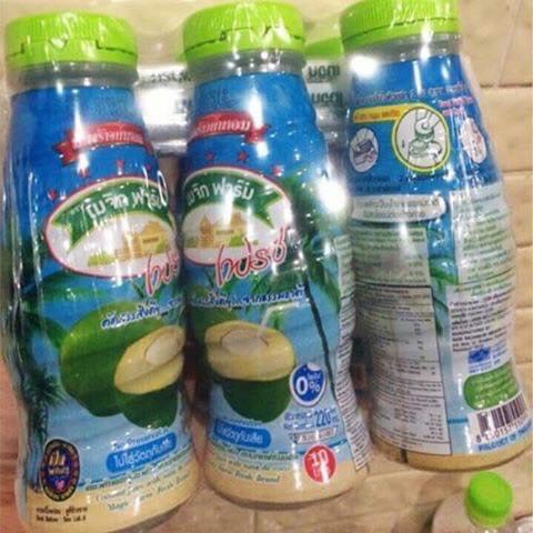 Nước thạch dừa nước sương sáo Magic Farm 240ml Thái Lan