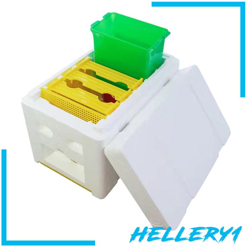 Hộp Nuôi Ong Chúa Breeding Queen Bee 1