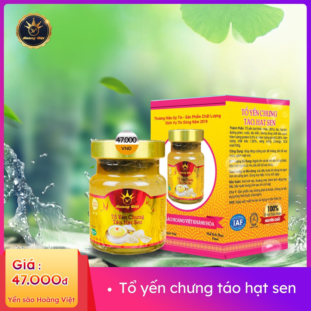 [6gr yến tươi] YẾN SÀO HOÀNG VIỆT CHƯNG HẠT CHIA-  mua 10 tặng thêm 1