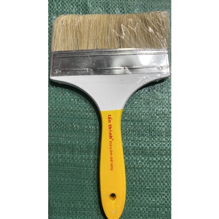 cọ bản 6" lông heo