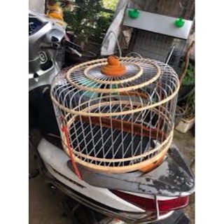 Dây thun móc lồng chim đi xe