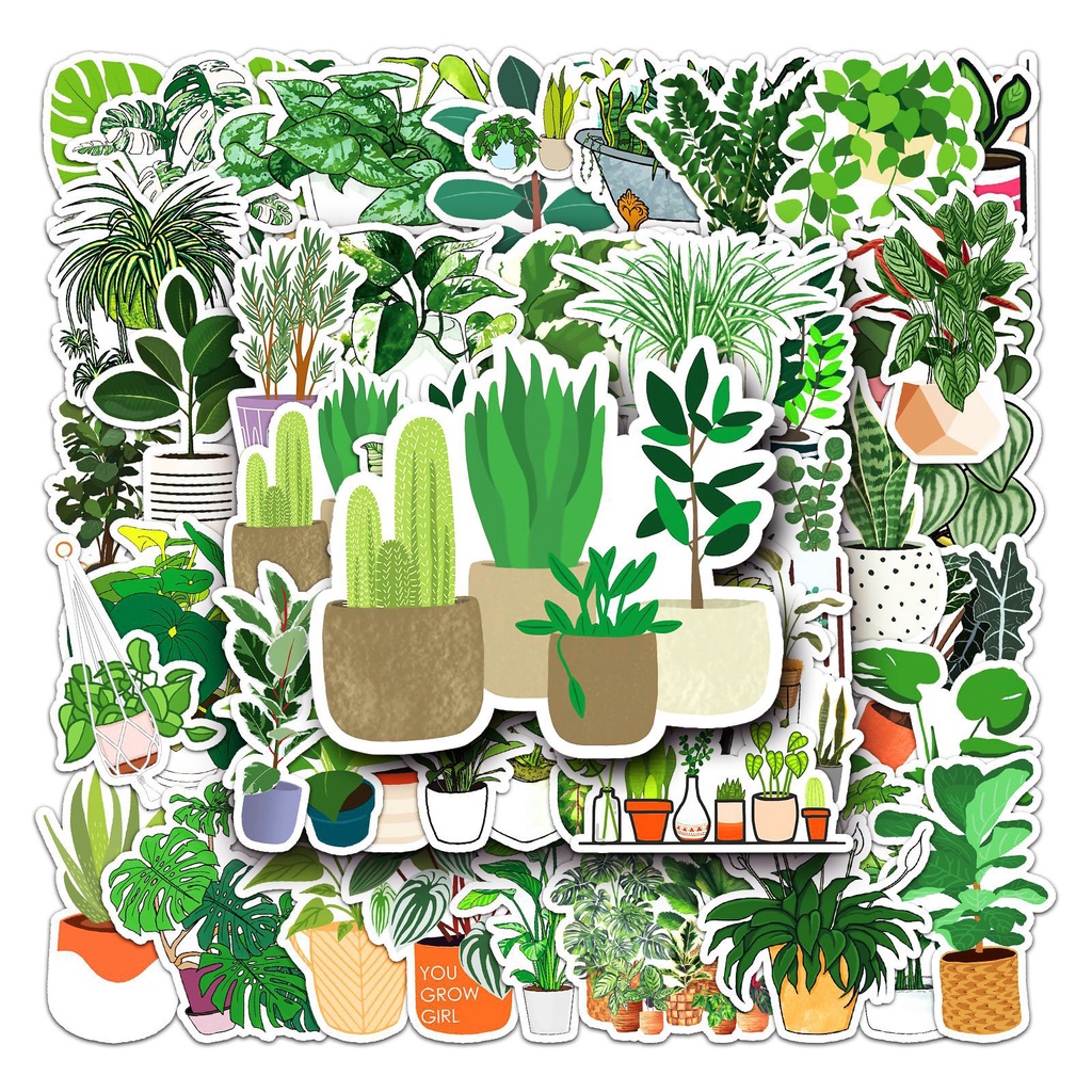 Combo 30 Sticker Chống Nước Decal Dán Điện Thoại Laptop Mũ Bảo Hiểm Vali Guitar Bình Nước [TRẦU BÀ LÁ XẺ CÂY CẢNH]