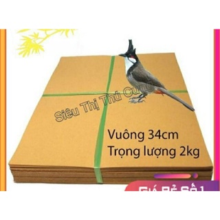Combo 5kg giấy vuông lót lồng chim