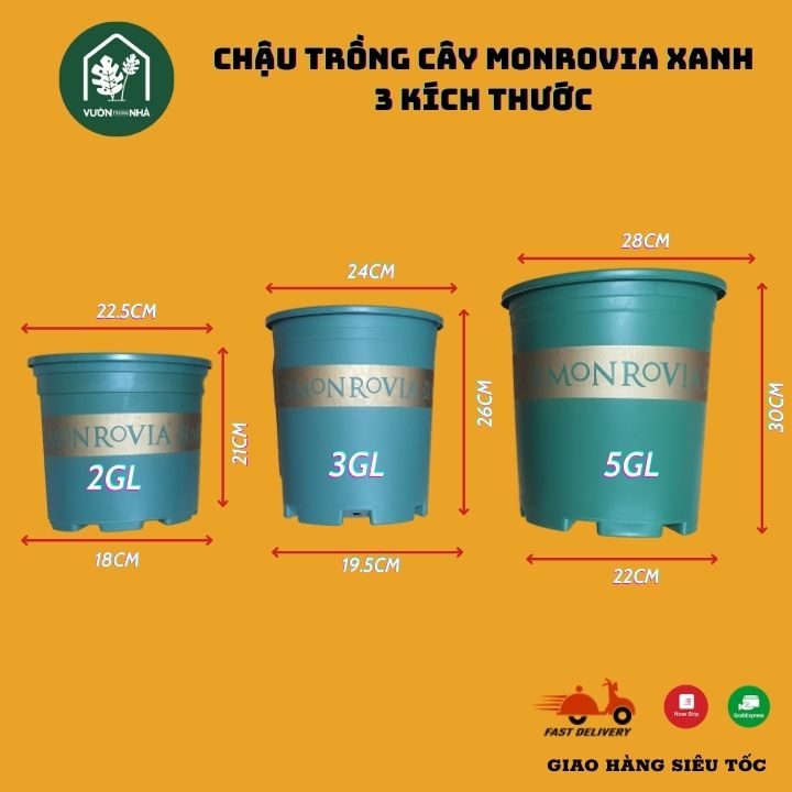 Chậu nhựa MONROVIA màu xanh 1GL 2GL 3GL 5GL Trung Quốc - Chậu trồng cây cảnh