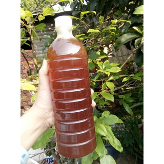 Mật ong nguyên chất hoa cà phê