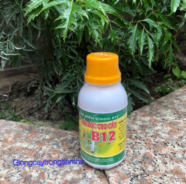 VITAMIN B12 CHUYÊN CHO HOA LAN, CÂY KIỂNG-GIẢI ĐỘC CHO CÂY (lọ 100ml)