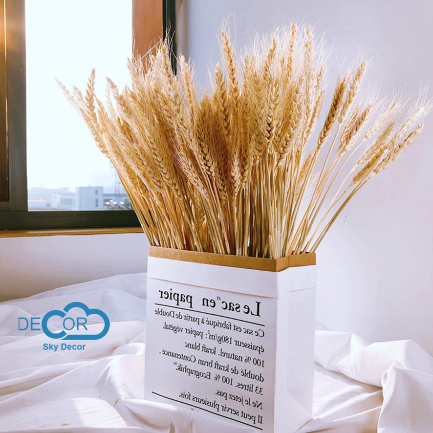 Bó bông lúa mạch khô Sky Decor - Trang trí nhà cửa, văn phòng, mang Tài Lộc tới