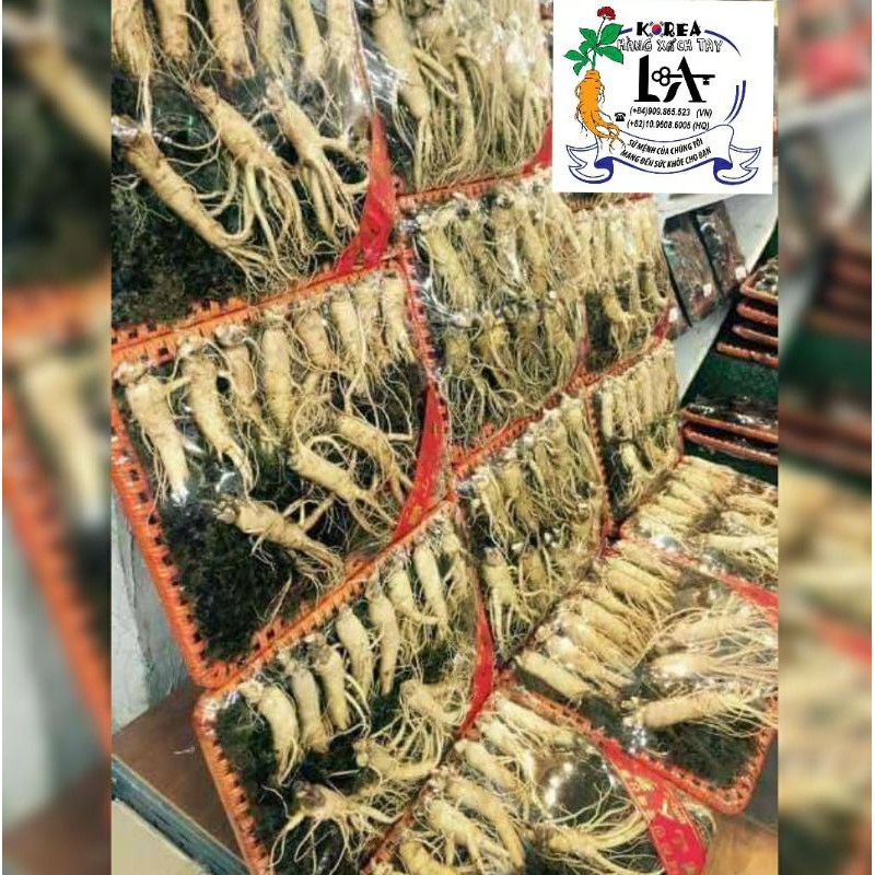 Nhân sâm Hàn Quốc hầm gà 6 năm tuổi  500g | BigBuy360 - bigbuy360.vn