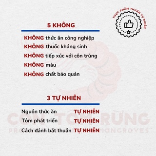 Tôm khô Cà Mau ngon - [Size mini] - Con Tôm Rừng