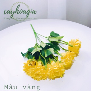 Hoa Giả - Cúc Vạn Thọ Siêu Đẹp