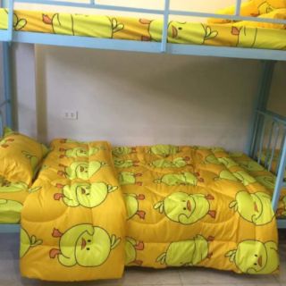 [ SIÊU RẺ ] sét chăn ga gối poly