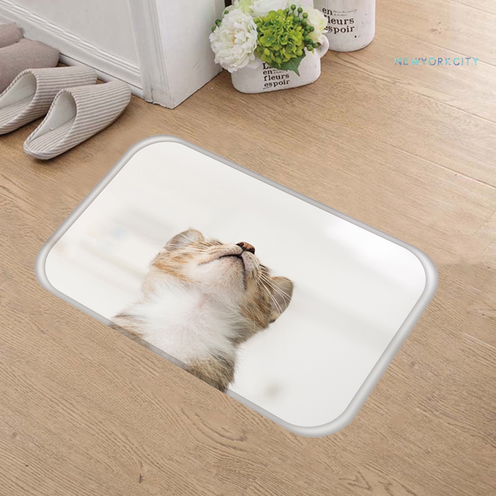 Thảm lót cửa chùi chân Chống Trượt In Hình Mèo 3D