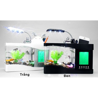 Hồ cá, Bể cá mini kiêm đồng hồ để bàn (trắng,  đen)