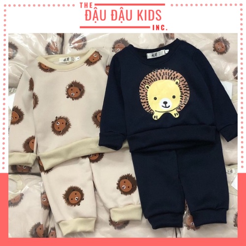 Bộ dài tay thu đông bé trai - Set 2 bộ nỉ sư tử Hm hàng xuất dư cho bé  size 1-6t