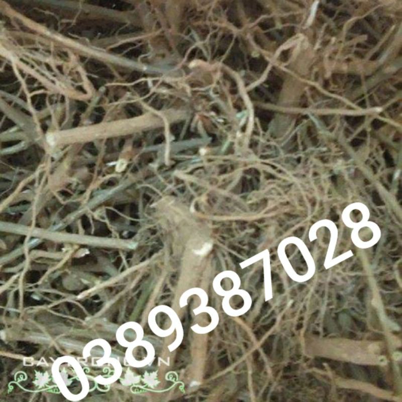 rễ cà gai leo,1kg