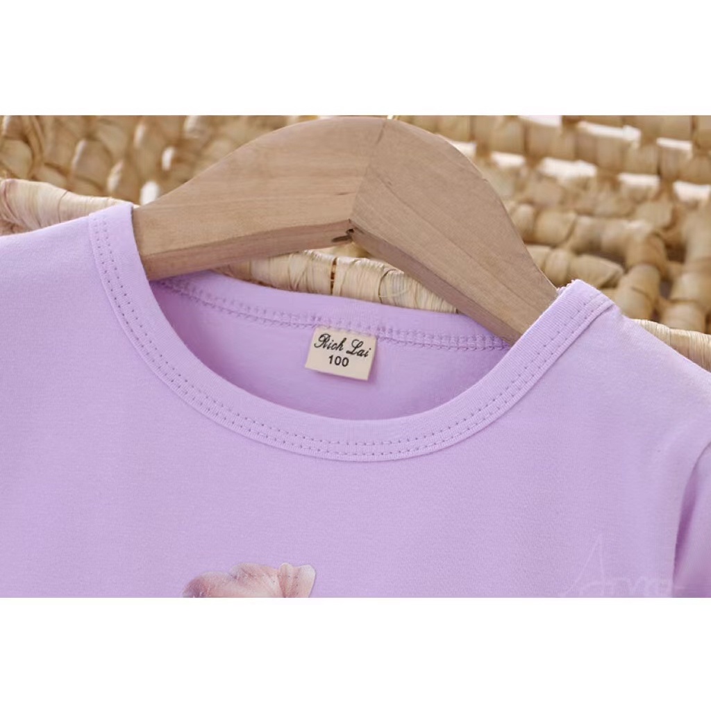 Áo Thun Tay Dài Phối Ren Công Chúa Disney 3D Thời Trang Chất Lượng Cao Cho Bé Gái 2-8 Tuổi