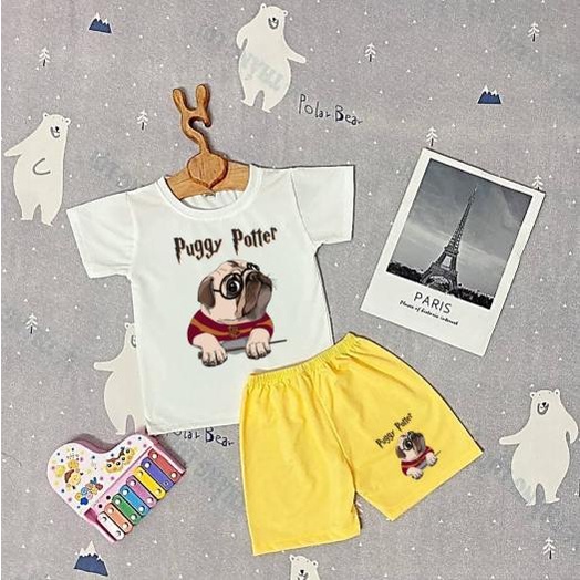 Bộ quần áo cho bé trai bé gái - Đồ thun cao cấp bé trai gái puggy dog, chất cotton