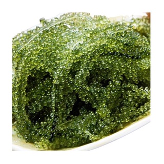 Bột Rong Biển đắp mặt 50gr Bee March