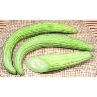 Dưa chuột rắn Thái Lan