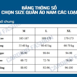 Set bộ thể thao cao cấp mắt dơi có bigsize