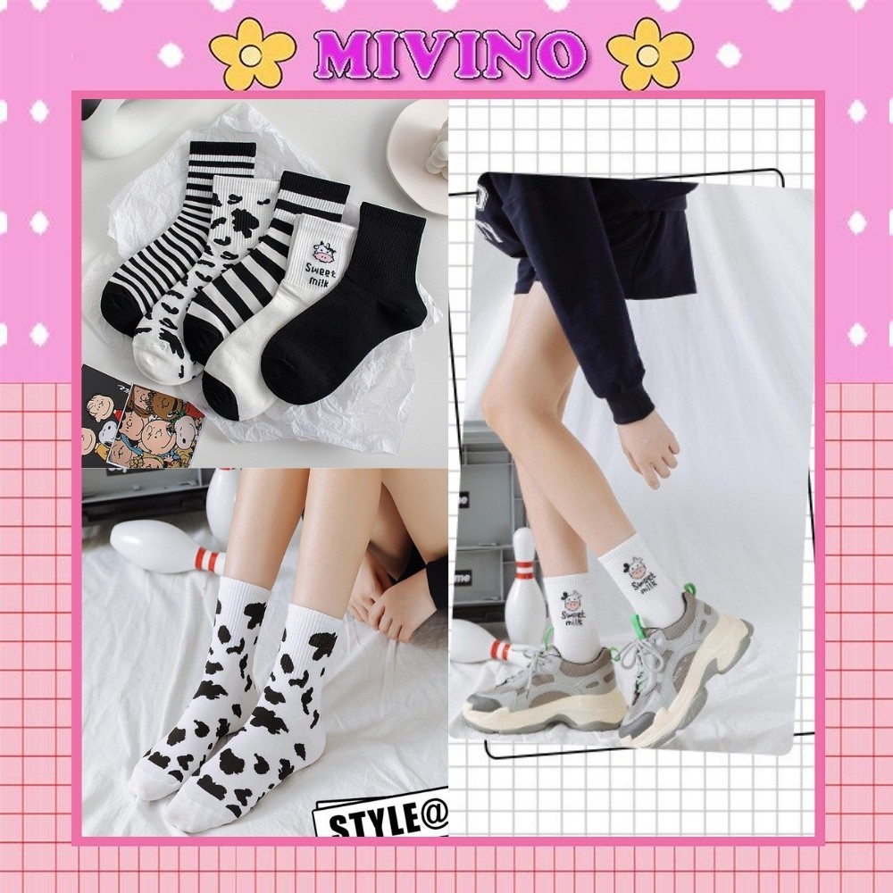 Set 5 đôi tất bò sữa Mivino vớ cổ cao nam nữ Hàn Quốc cực đẹp TN76