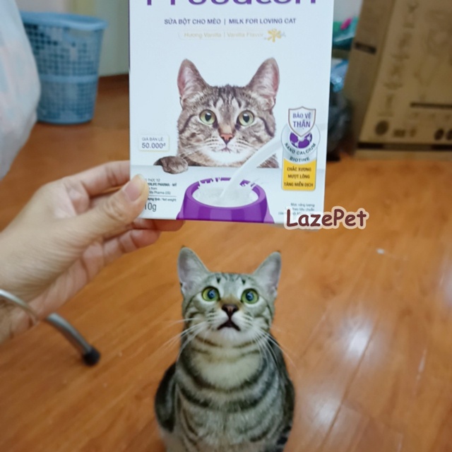 Sữa Precaten cho mèo sơ sinh, mèo gầy yếu hộp giấy 110g