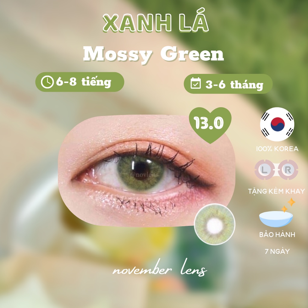 Kính áp tròng màu xanh tây Mossy Green Hàn Quốc