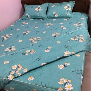 Bộ Ga Phủ Trần Bông 4 Món Vỏ Chăn Lồng Được Ruột MẪU HỌA MI XANH Dành Cho Gia Đình Bạn