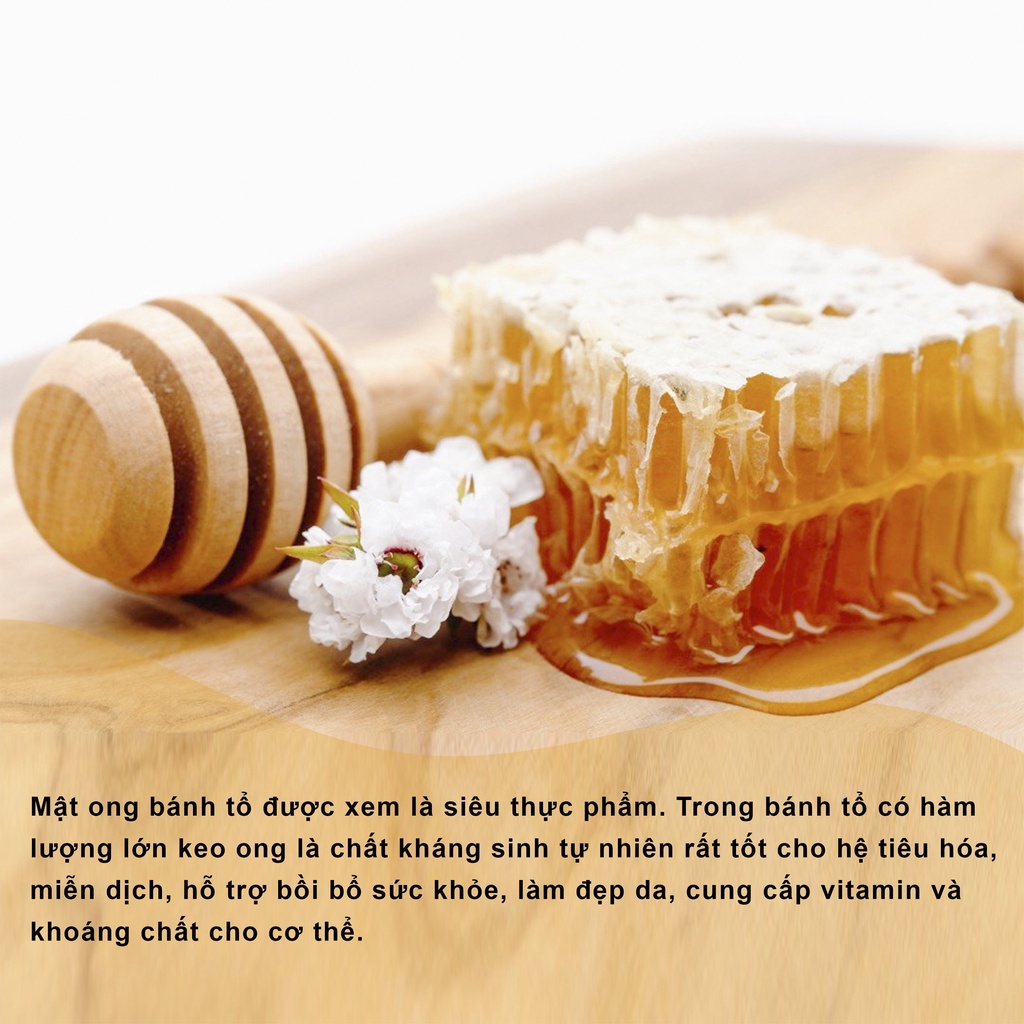 Mật ong bánh tổ tươi nguyên sáp 600gr Herybee