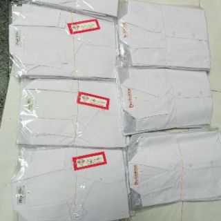 Áo Sơ Mi Học Sinh Nữ hình thật 100%