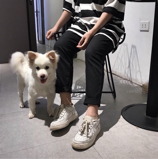 BASIC PANT KAKI - Quần kaki màu trơn lưng chun | BigBuy360 - bigbuy360.vn