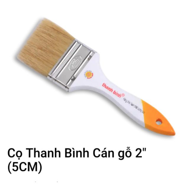 CỌ QUÉT SƠN CÁN CÂY THANH BÌNH