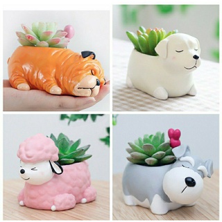 chậu thú trồng sen đá