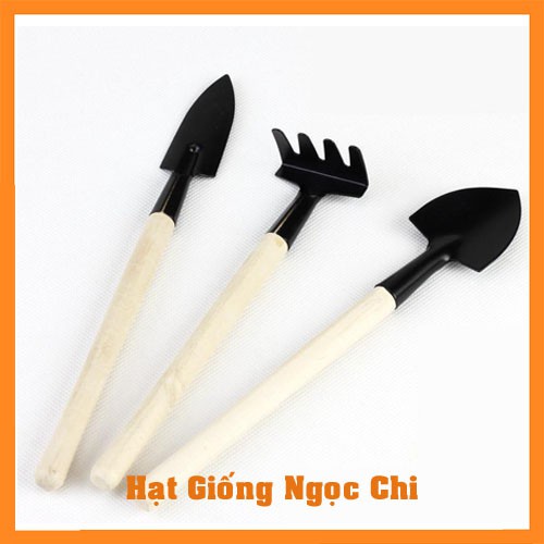 Bộ Dụng Cụ Làm Vườn Mini 3 Món Cần Thiết