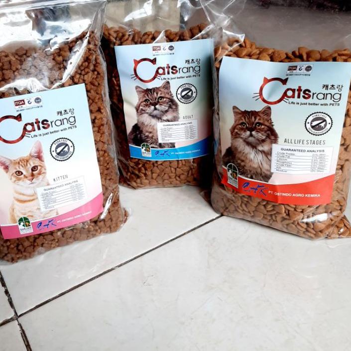 Đồ Chơi Mô Hình Mèo Con Cao Cấp 500gr ✓