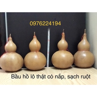 Quả bầu hồ lô đựng nước