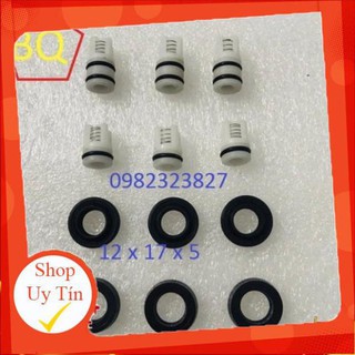 Bộ phớt van 1 chiều máy  rửa xe mini