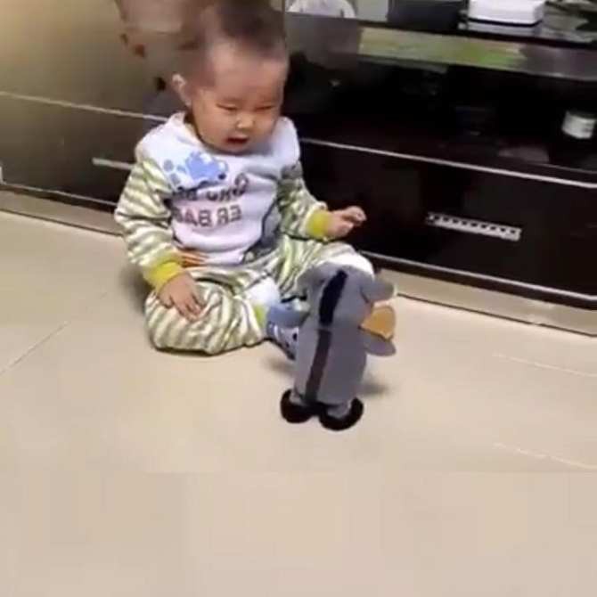 Combo 10 chú lừa nhại tiếng/ lừa biết nói