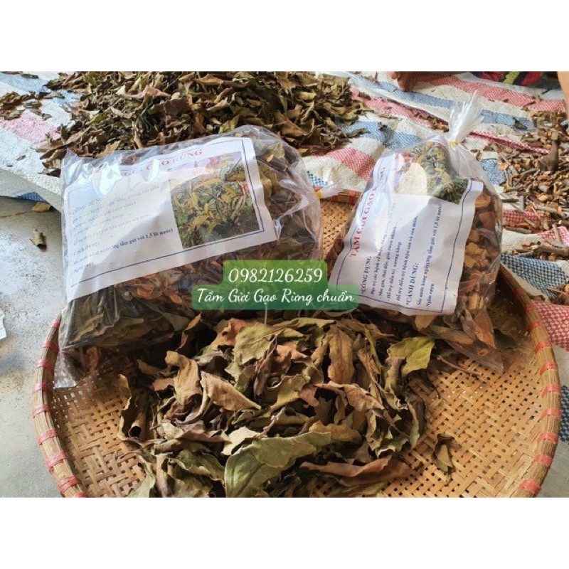 Tầm Gửi Gạo Tía Chuẩn Sịn (đền 100% nếu không chuẩn)