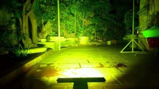 LED BAR 1 HÀNG 50CM