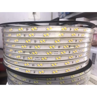 Led dây đôi 5730 siêu sáng 2 hàng bóng chéo hắt trần cao cấp cuộn 100M