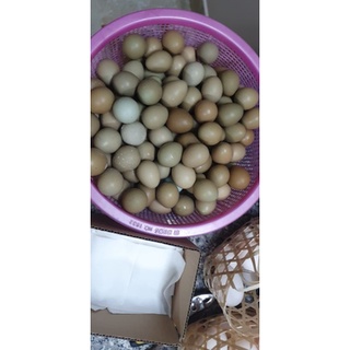 Trứng chim trĩ 150k/ 10 quả