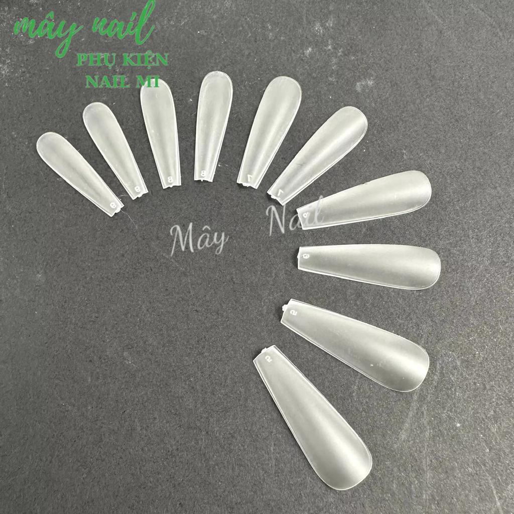 Móng úp lẻ size fom thang trong nhám