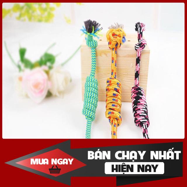Dây cho cún tập nhai nhiều mầu sắc 0