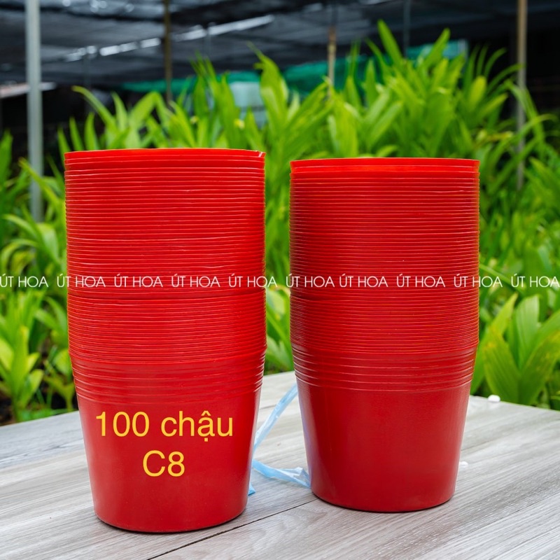 100 chậu C8 đỏ (18x15 cm) chuyên trồng hoa tết giá rẻ