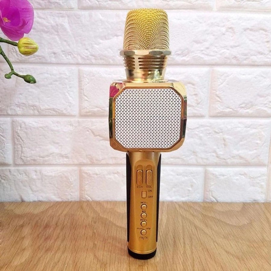 Mic hát karaoke SD10 ( giao màu ngẫu nhiên. )