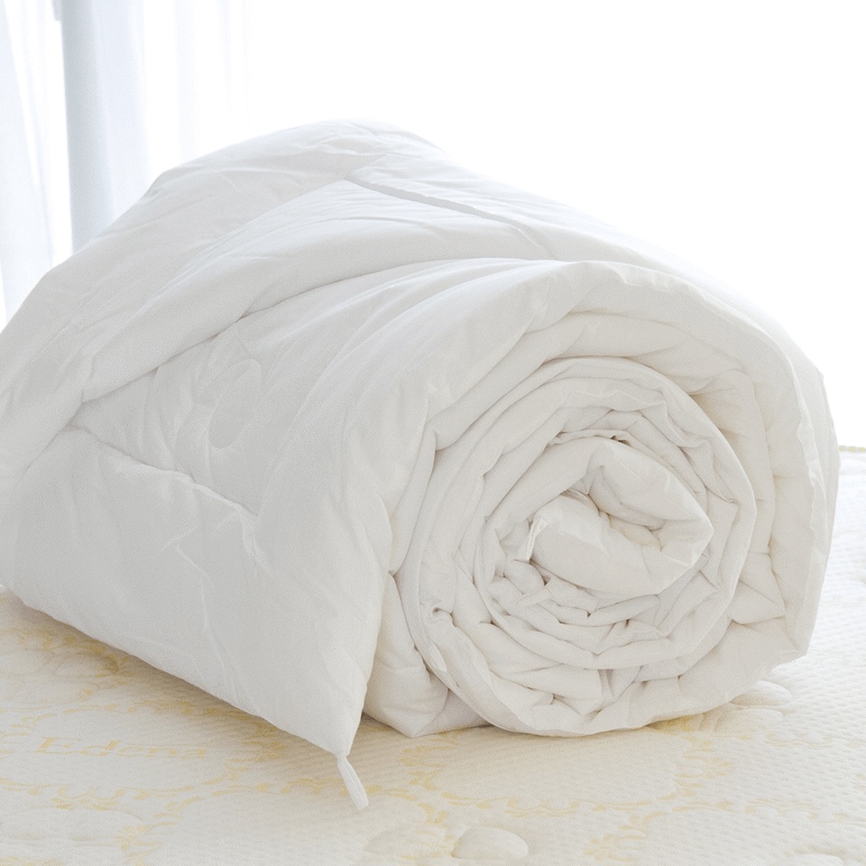 Ruột Chăn Mền Truyền Thống Khách Sạn Trắng Bông Gòn Size 2mx2m2 Tinh Khiết Thu Đông Siêu Nhẹ Napbedding